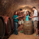 Camping Suza Baranje - Family Wine Cellar
