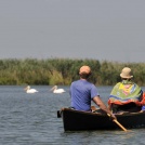 watching pelicans during paddling tour on Lake Iacob, Danube Delta, Romania.