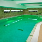 Crocus Wellness & Spa_swimming pool