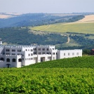Chateau-vineyards-panorama