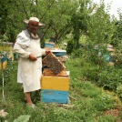 Bee keepers close to Giurgiu