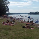 Danube beaches near Veliko Gradiste during summer
