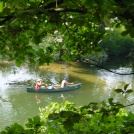 Donau durch Baume mit Paddler